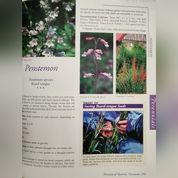 Annuals, Perennials & Bulbs - Picture 5 of 7